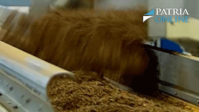 PM ČR: Pokles dividendy a stabilita akcie po zbytek roku... komentář analytika (video)