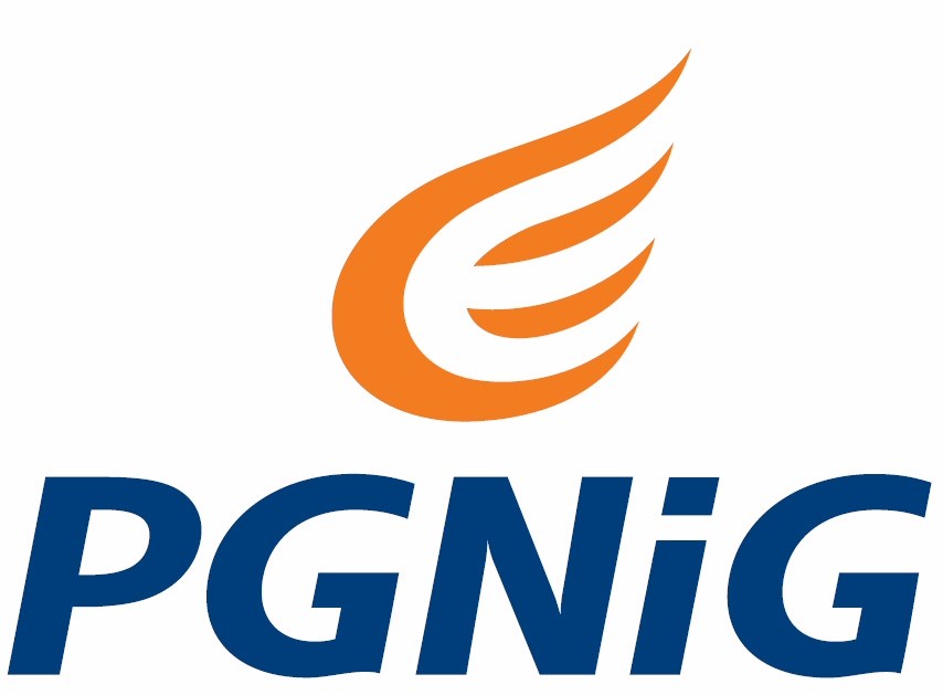 PGNIG: 2Q10 results – as bad as it gets