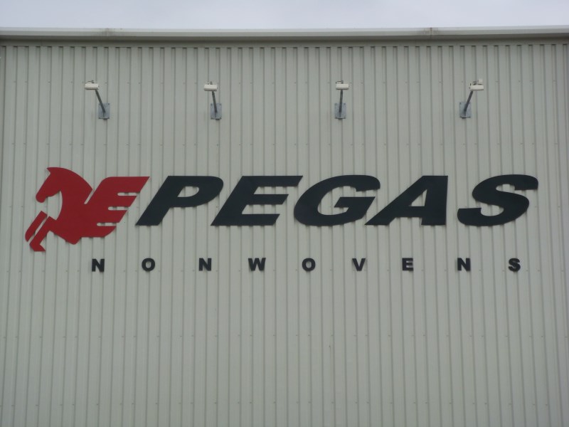 Pegas - 2Q10 Preview