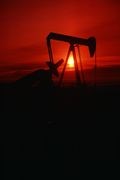 Merrill Lynch: Cena ropy může klesnout pod 25 USD