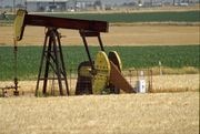 OPEC: Nebudeme váhat s dalším snížením produkce ropy