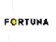 Fortuna - představenstvo navrhuje dividendu 0,22 EUR
