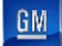Víkendář: GM a Ford nejsou konkurenty Tesly