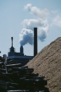 Zdaňte „špinavé“ uhelné elektrárny, vyzývají ekologové německou vládu
