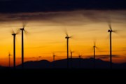 IEA čeká silný růst výroby elektřiny z obnovitelných zdrojů