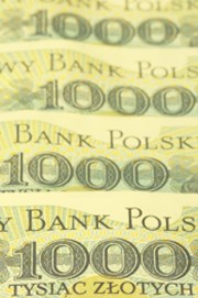 Polsko: Ekonomický růst loni zpomalil na 4,8 %