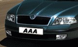 AAA Auto vzrostly v roce 2012 prodeje vozů více než konkurenčnímu Auto ESA