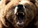 Medvědi jsou všude kolem, propad akcií stále nikde