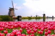 Nizozemsko vydá 20leté dluhopisy zaměřené na ekologii