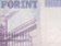 Forint sráží útok spekulantů na Roubiniho doporučení, brání se Maďarsko Forint sráží útok spekulantů na Roubiniho doporučení, brání se Maďarsko