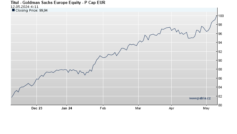 Goldman Sachs Europe Equity - P Cap EUR