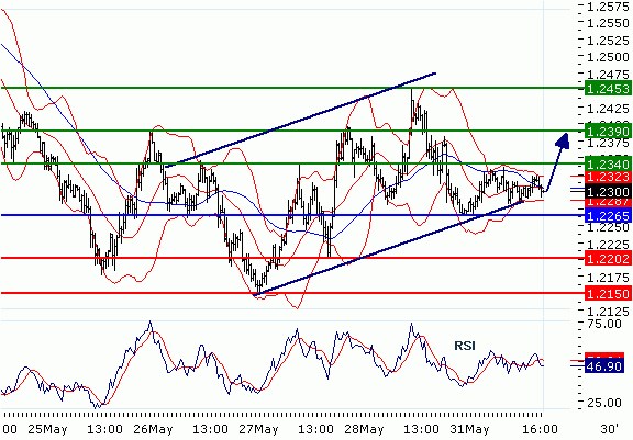 FX31052010_EURUSD