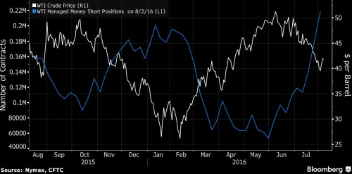 wti shorts.png