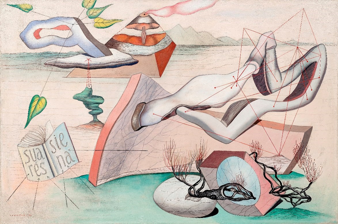 Krajina s knihou janoušek