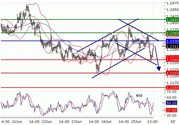 FX25062010_EURUSD_II.