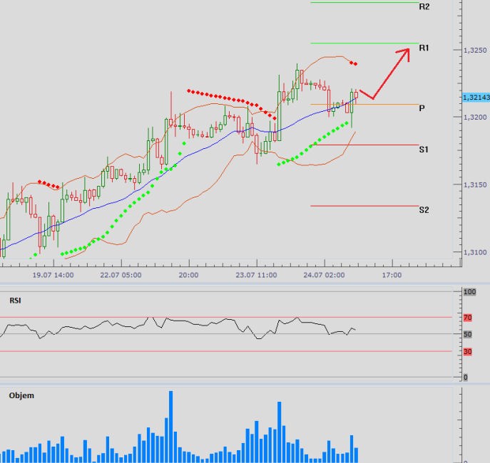 eurusd_24072013