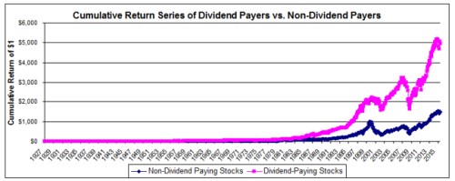 dividenda akcie firmy kapitalizace