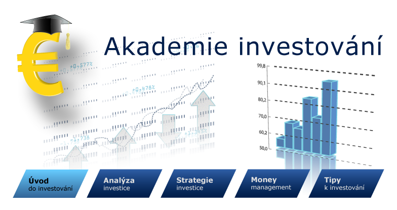 Jak se dělí investice?