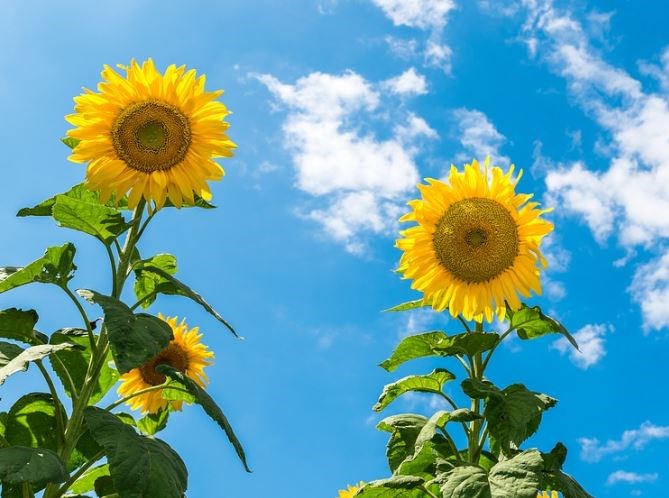 Evropské burzy by mohly začít týden v kladných hodnotách