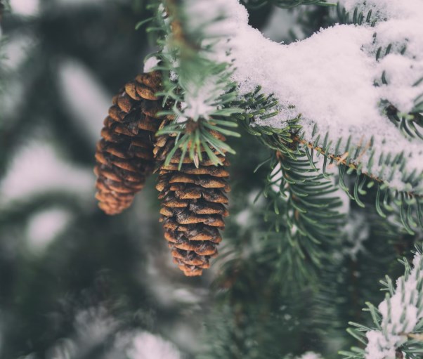 Vyhlídky poklesu sazeb se rozplývají. Akcie i dluhopisy začínají týden poklesem