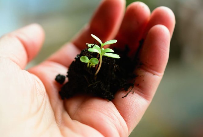 Pokračuje rozevírání nůžek mezi ziskovostí technologií a zbytkem trhu. Valuace růst/hodnota už obrací