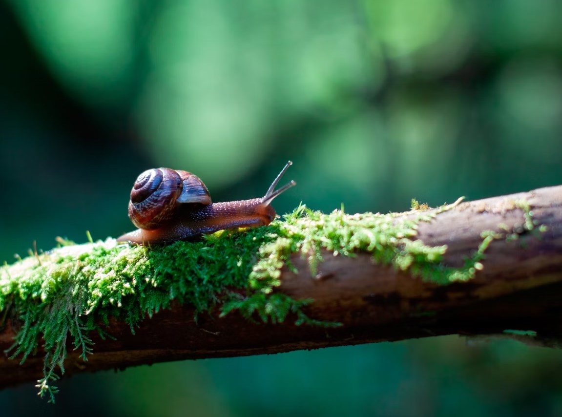 Akcie se snaží po nevýrazném dni opět posouvat vzhůru