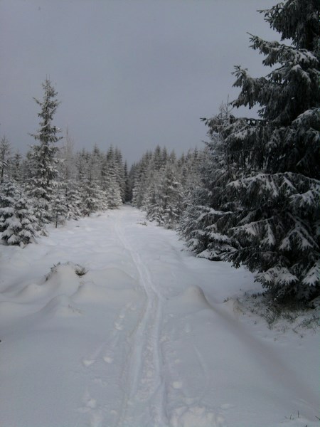 Stát levně prodal pozemky v Jizerských horách, nový vlastník může vydělat desítky milionů