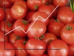 ČTK: EU čelí kritice europoslanců kvůli růstu cen potravin