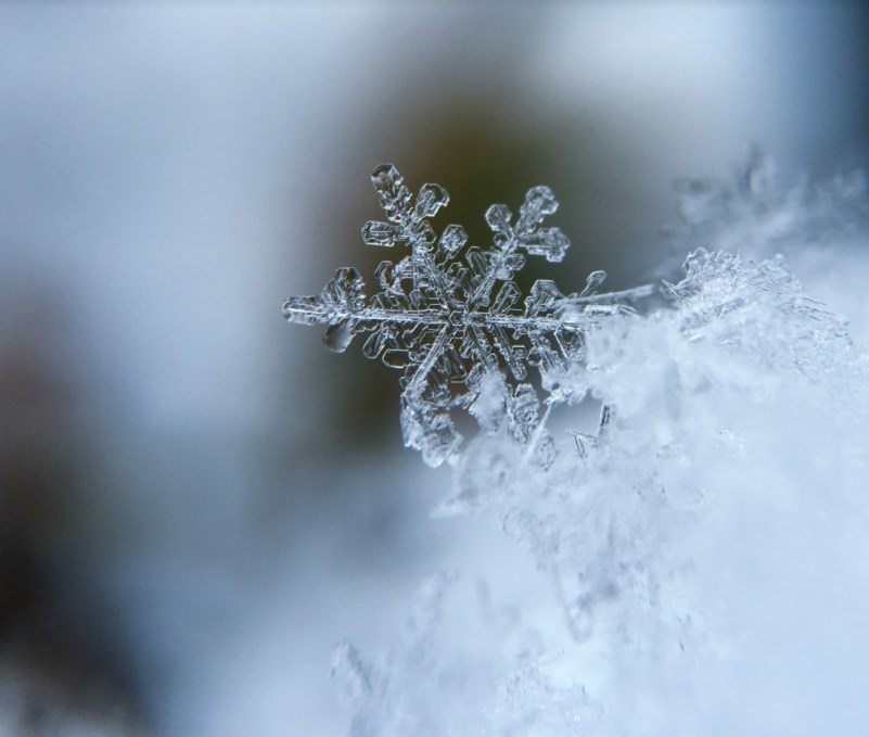Rozbřesk: Lednové inflační překvapení