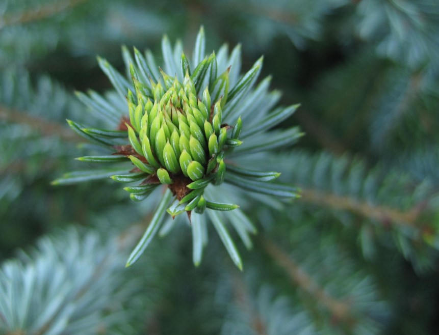 Moneta překonala očekávání, Meta jim naopak nedostála. Futures jsou dnes zelené