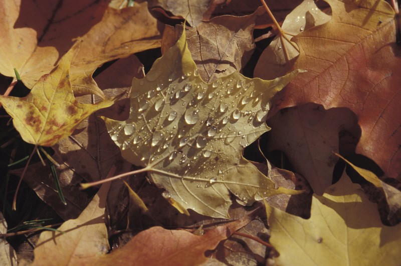 Letošní podzim by na Wall Street mohl přinést ještě těžké časy...