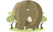 HBR: Korporátní „sloni“ jsou ve skutečnosti lepší než malí dravci