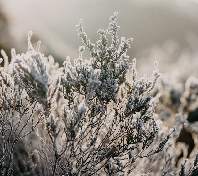 Rozbřesk: Ochlazování amerického trhu práce pokračuje. Neklid na Blízkém východě a výpadky v Libyi posílají výše ropu