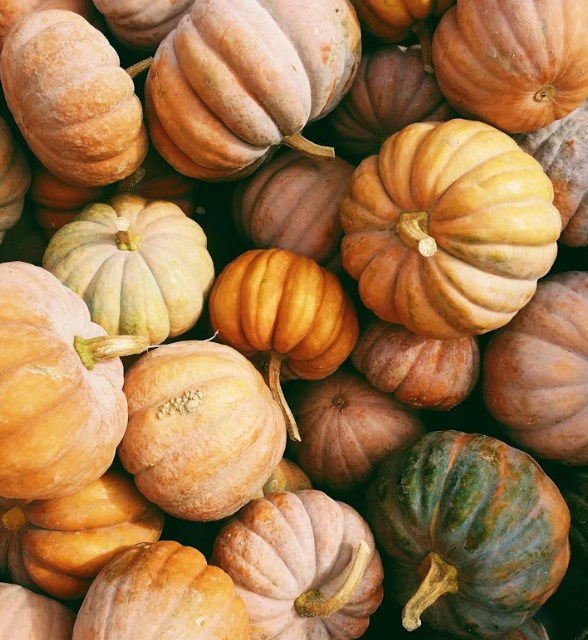 Po silném září přichází nové sázky. JPMorgan favorizuje tyto čtyři akcie