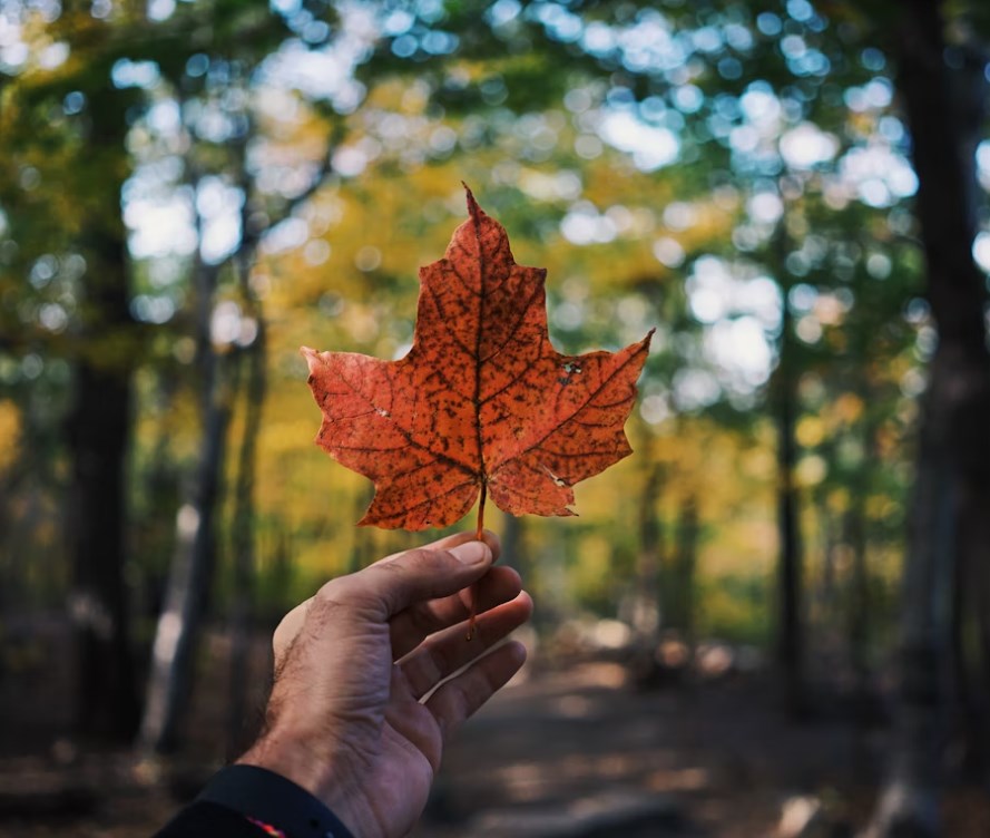 Trump ukončil jednání o clech s Kanadou kvůli reklamě s Reaganem