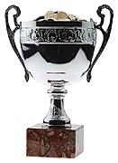 Vítězové roku 2008: Akcie, které porazily zmatky na trhu