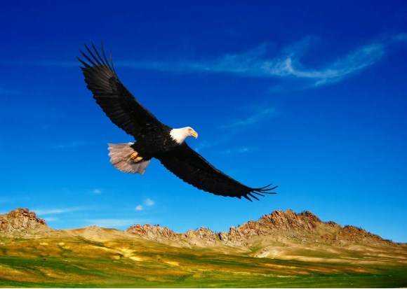 James Bullard z Fedu očekává v příštím roce dvojí zvýšení sazeb, trhy obchodují smíšeně