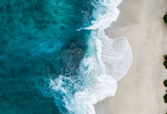 Rekordní odliv z technologických akcií tržní euforii nezastaví, domnívá se stratég BofA