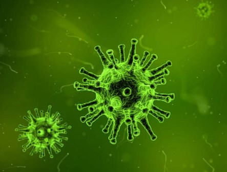 Rozbřesk: Delta může ohrozit migraci do Německa a přiživit inflační tlaky