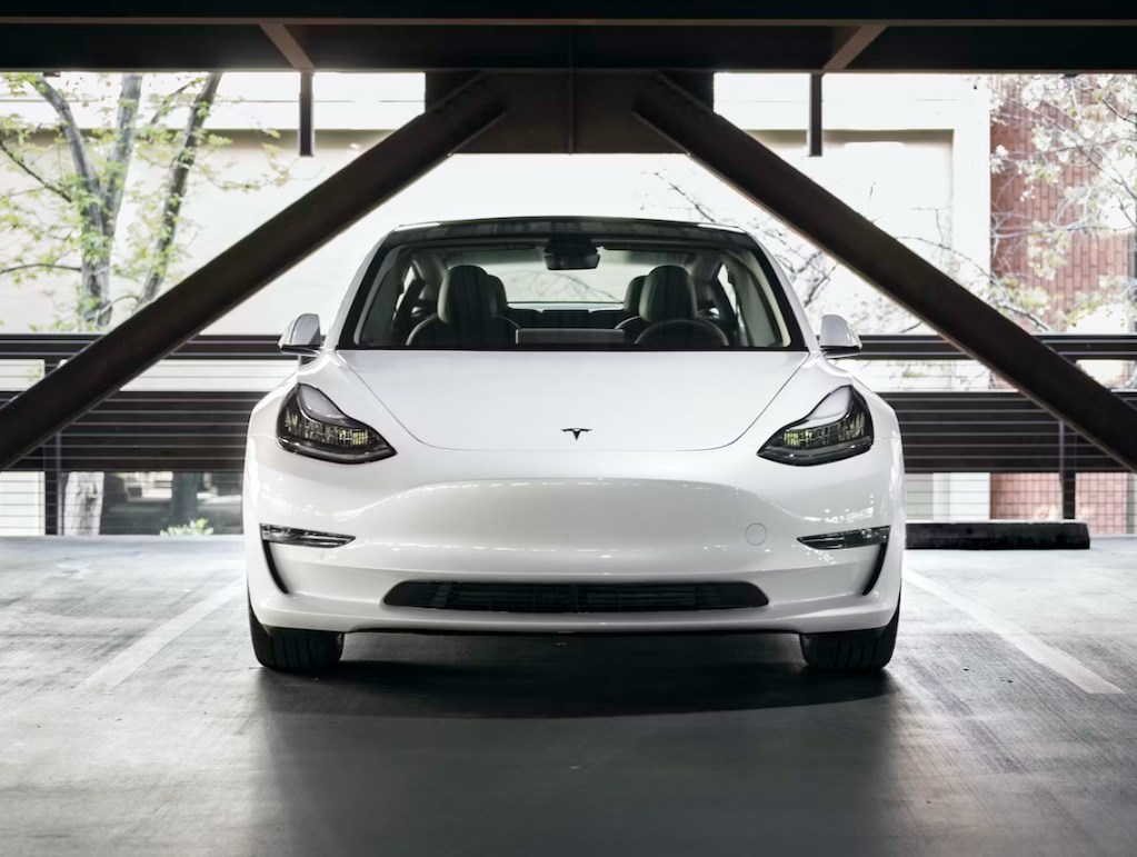 Medvědi a býci na Tesle a další názory na tuto společnost