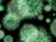 Koronavirus zasáhl zámořské trhy Koronavirus zasáhl zámořské trhy