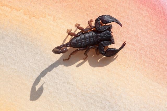 Rozbřesk: Česká ekonomika v kleštích inflačního šoku