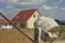 Risks When Building Without A Permit Risks When Building Without A Permit