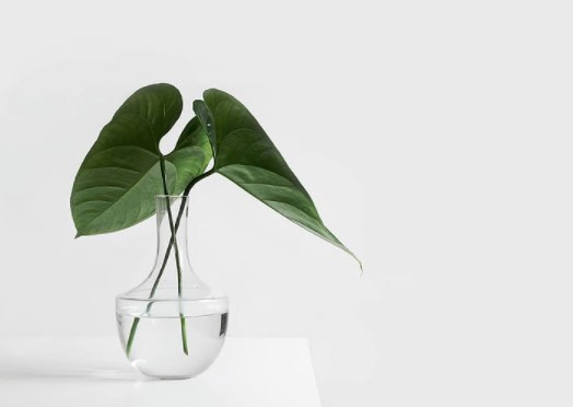 Akcie NortonLifeLock včera posílily o 6,1 procenta, JPMorgan se pokusil vypočítat férovou hodnotu bitcoinu a futures se dnes zelenají