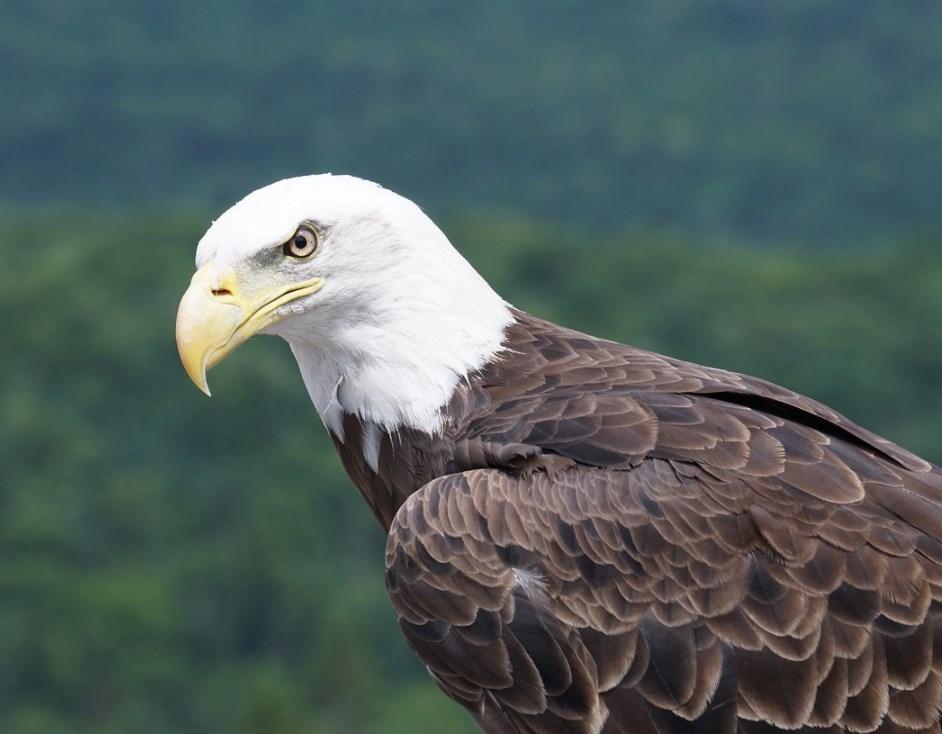 Fed uvažuje o větší podpoře, ale trhy dál nahoru neposlal