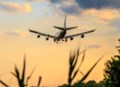 IATA: Aerolinky letos po celém světě přepraví téměř pět miliard lidí