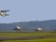 Airbus se loni stal největším výrobcem letadel Airbus se loni stal největším výrobcem letadel