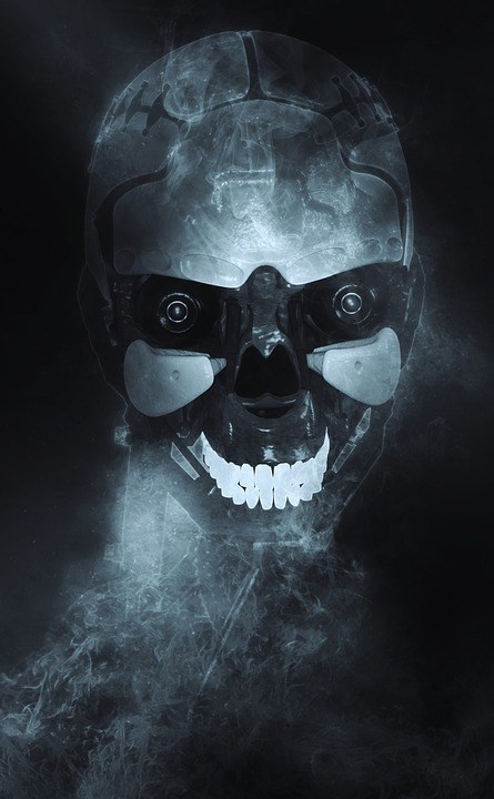 Elon Musk: Lidé, stroje a nutnost splynutí