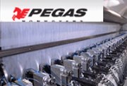 Pegas - 1H2011 Results: Lower earnings, but outlook confirmed