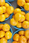 EU prý chce zakázat dovoz citrusů z jižní Afriky. Zmizí pomerančový džus?